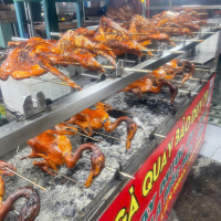 VỊT CỎ 4 BÁNH BAO