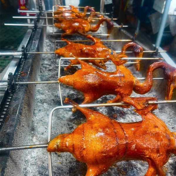 VỊT CỎ 4 BÁNH BAO
